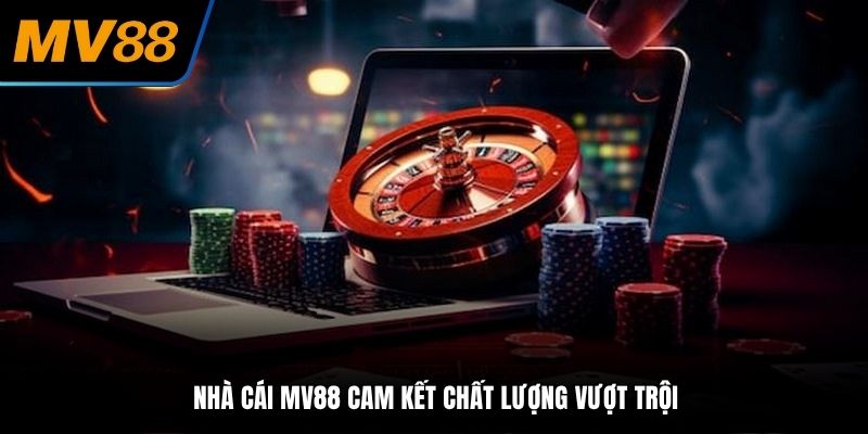 Cam kết chất lượng tạo nên không gian cá cược đỉnh cao