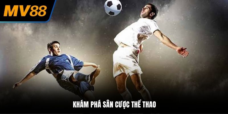 Khám phá sân cược thể thao